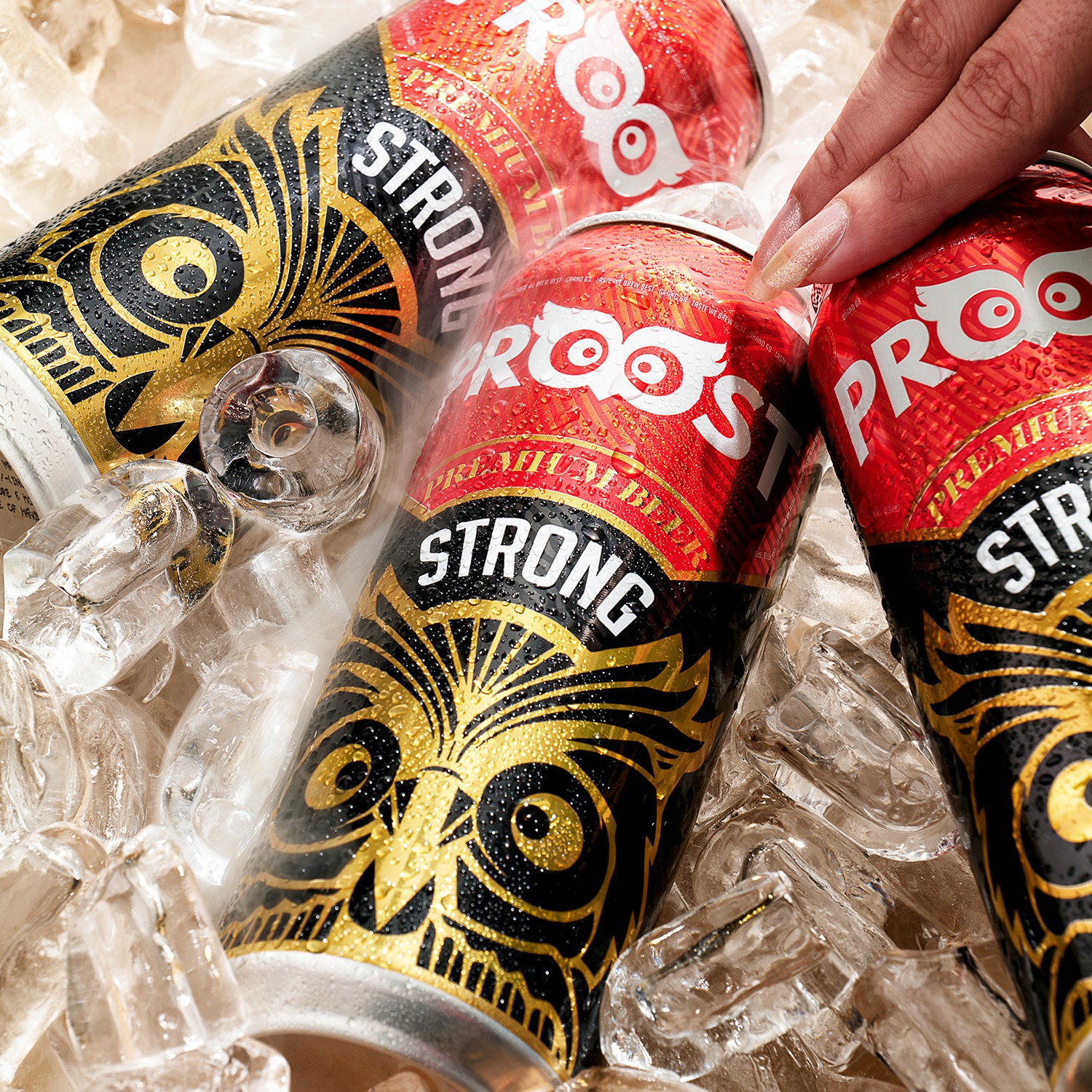 Proost Pack Of Beers