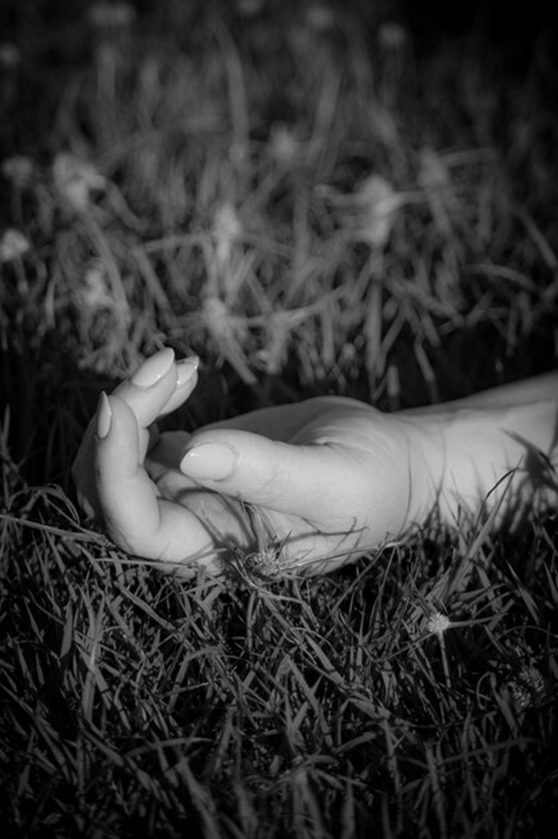 indigo airlines crew member steals