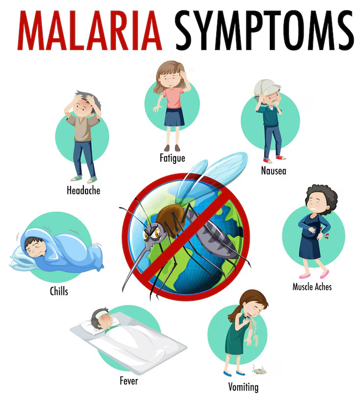 Effective Ways To Prevent Malaria