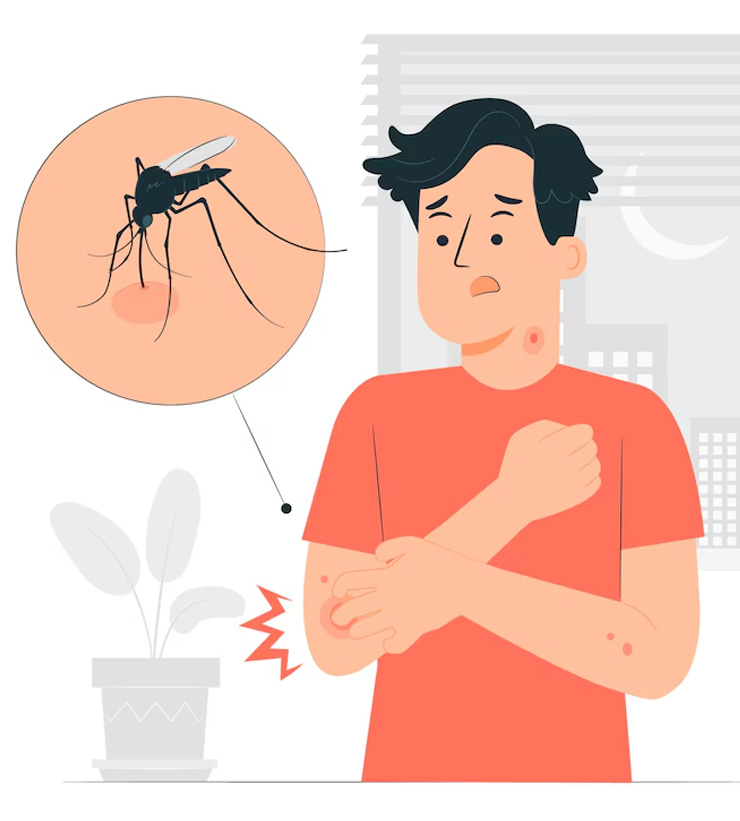 World Malaria Day 2025 Date