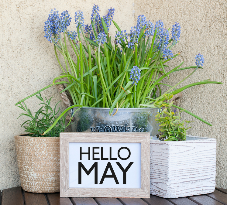 May 2025 Bank Holidays