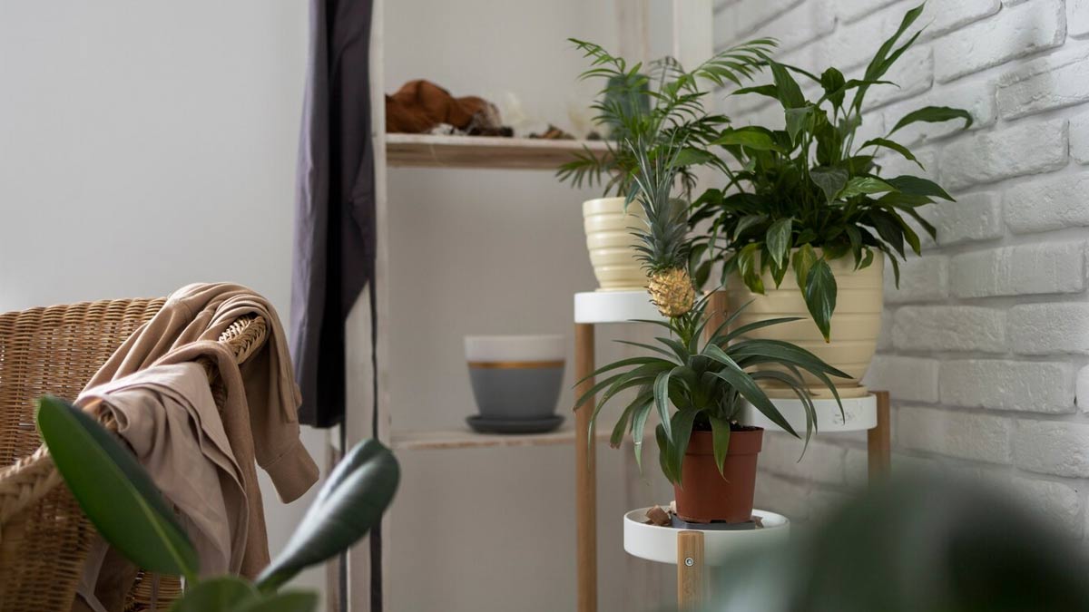 Sustainable Materials