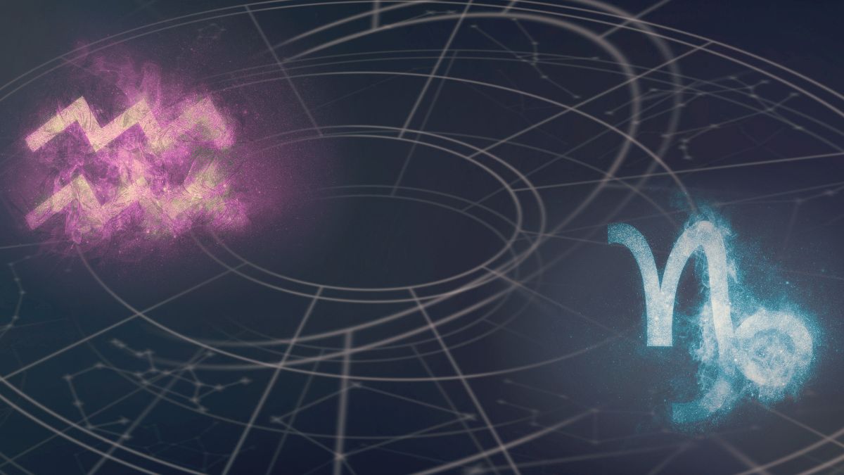 Aquarius And Capricorn Friendship Compatibility