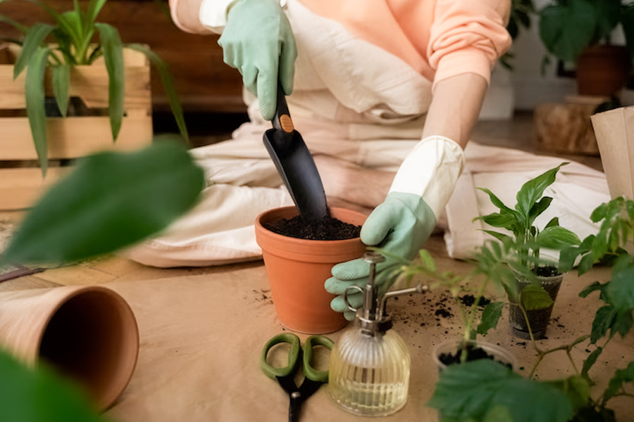 Container Gardening Mistakes To Avoid