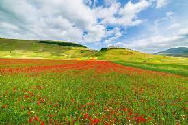 Castelluccio Valley in Italy