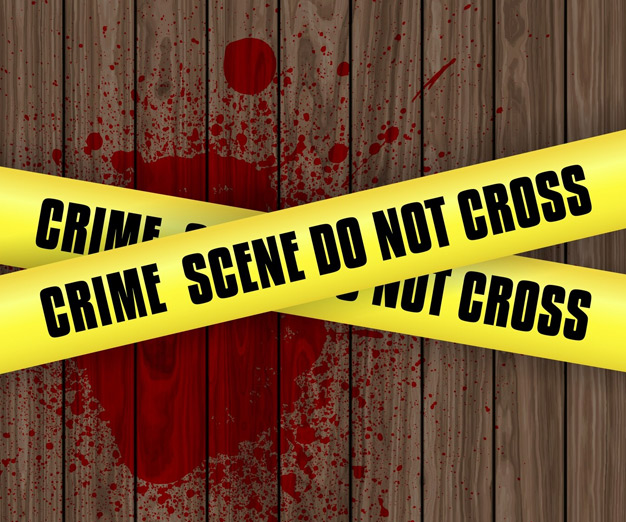 Meghalaya Honeymoon Murder case