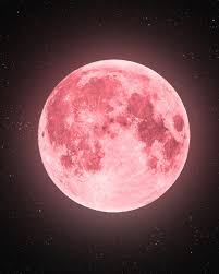 Strawberry Moon 2025 Visibility In India