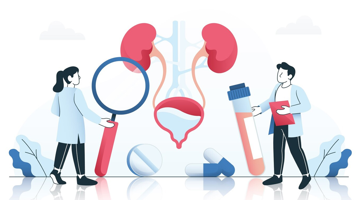 what happens when you dont pee health issues