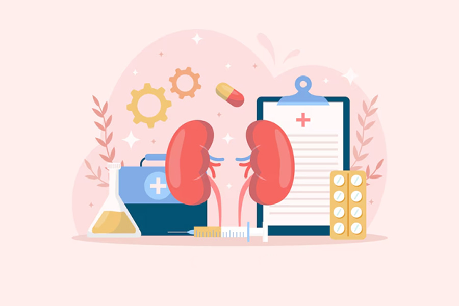 How Does Salt Affect Kidneys