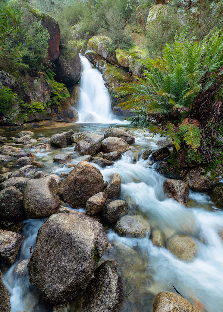 Black River Gorges National Park