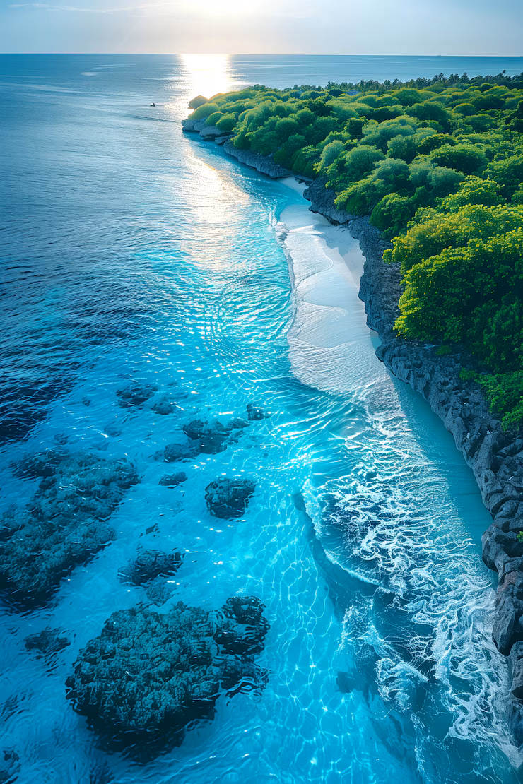 blue bay marine park