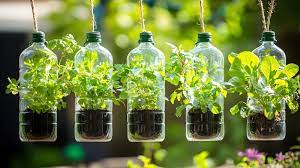 Recycled Water Bottle Plant Hanger