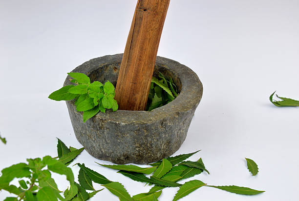 How To Make Your Own Tulsi And Neem Scalp Serum?