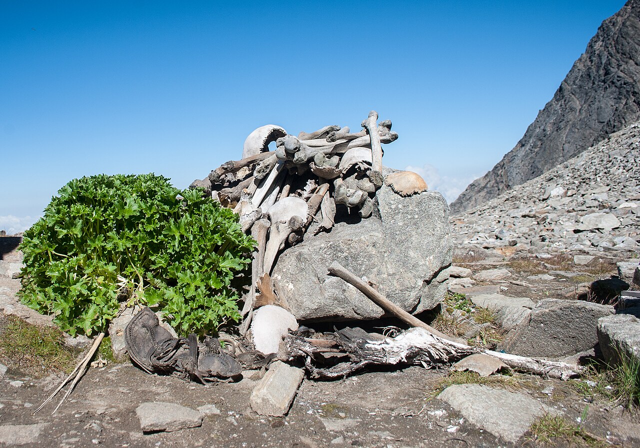 Human_Skeletons_in_Roopkund_Lake