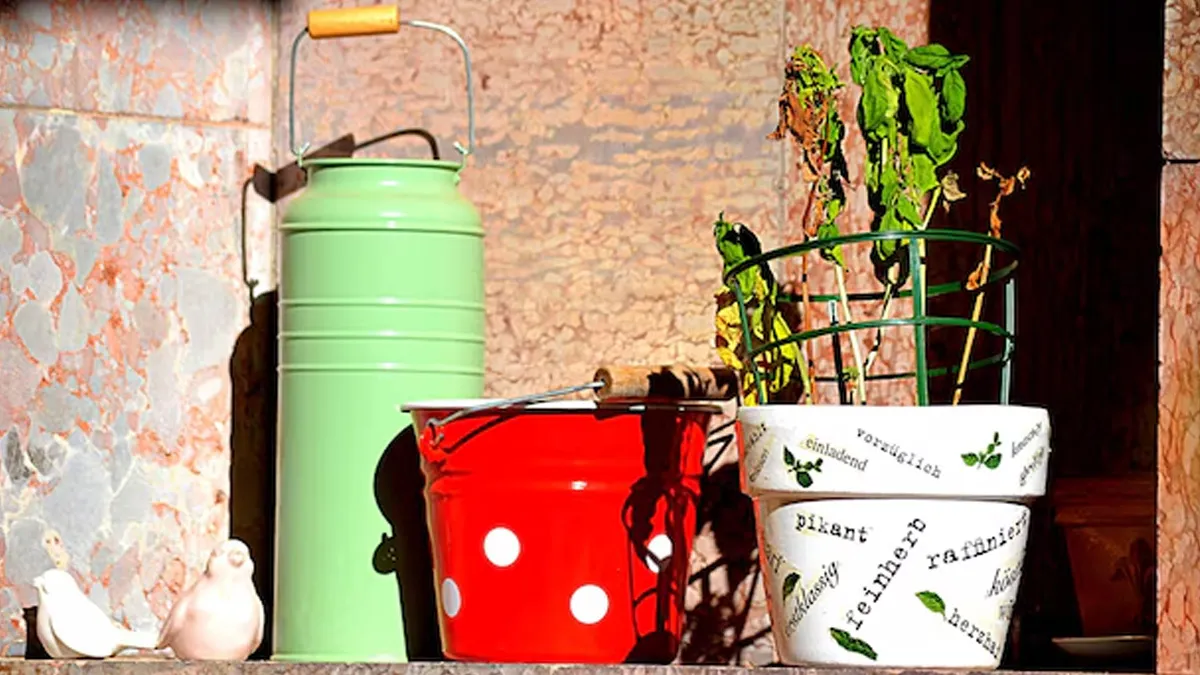 Turn Old Containers Into Plant Homes: DIY Gardening Ideas