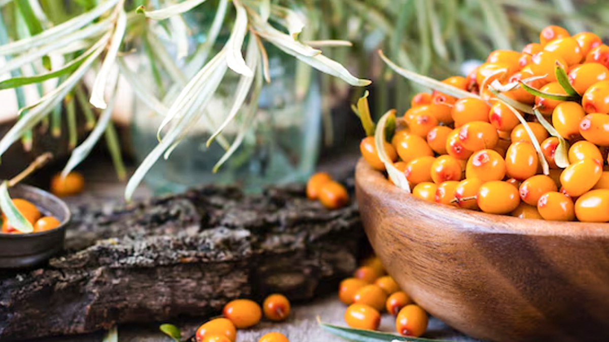 Why You Should Add Sea Buckthorn To Your Beauty Routine