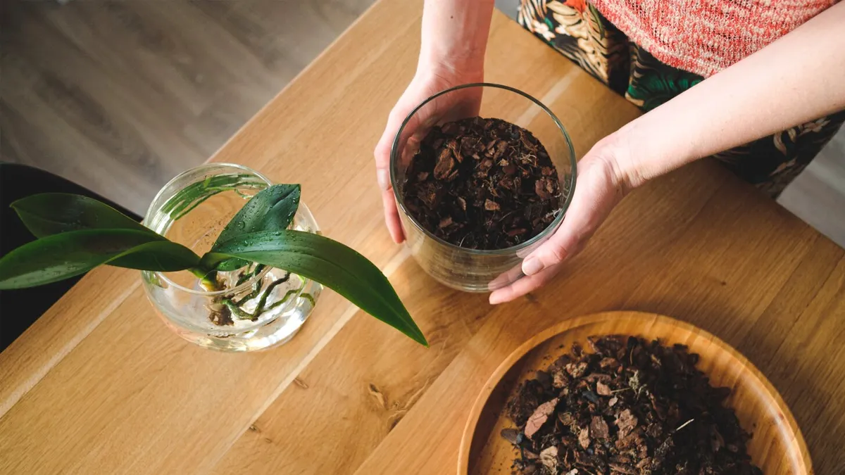 How To Grow Plants Using Coffee Grounds, Tea, And Kitchen Waste