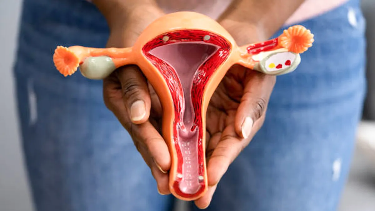 what is anti mullerian hormone explained