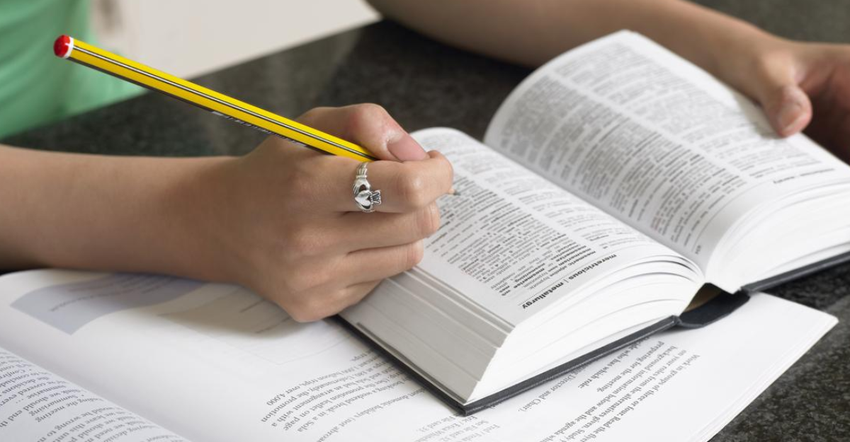 cambridge dictionary word of the year