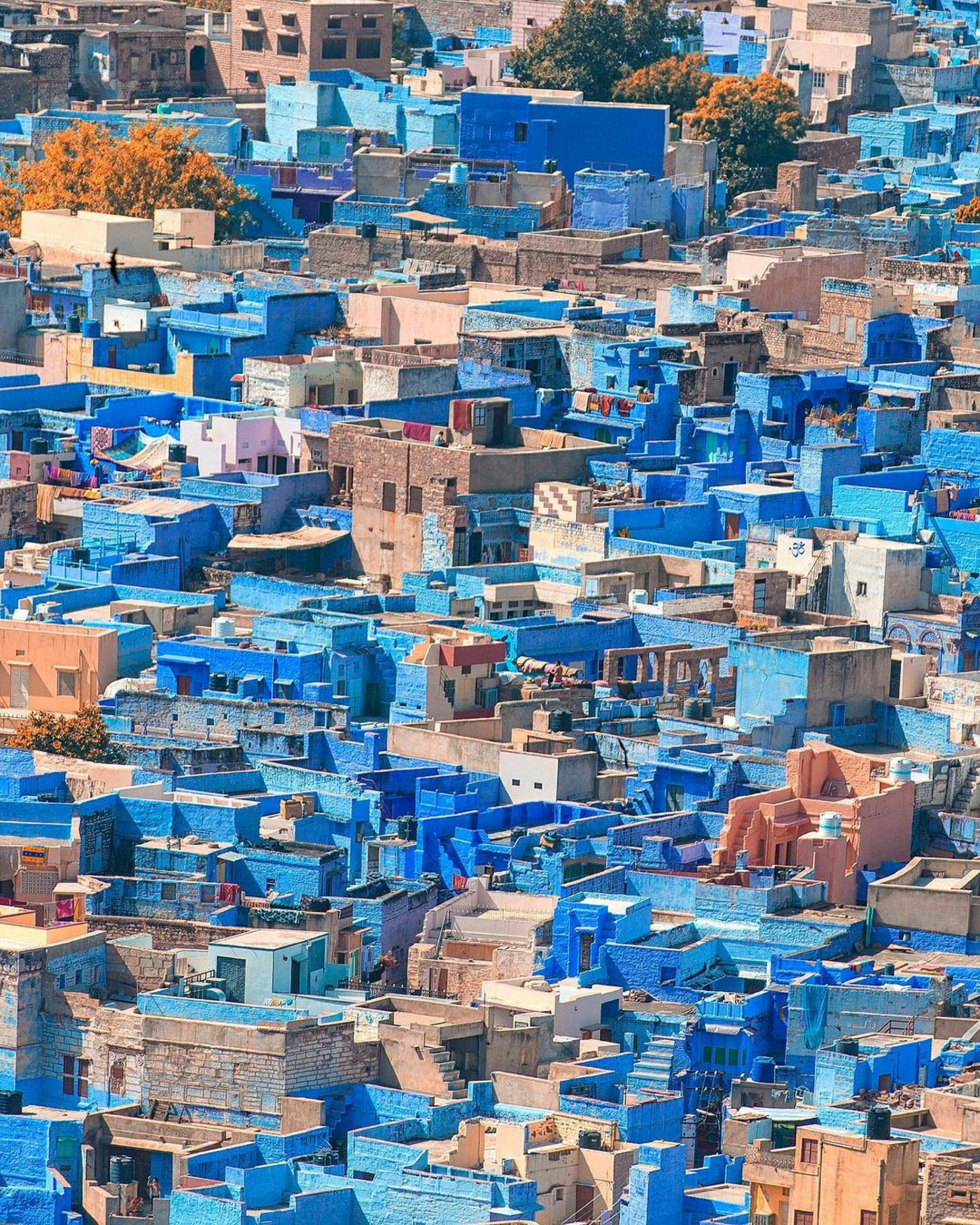jodhpur blue city of india