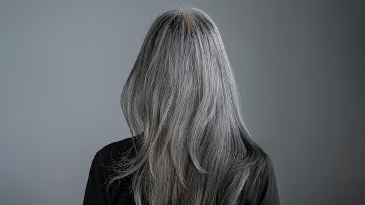 Main - 2025-11-27T142827.848