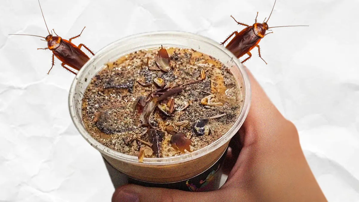 cockroach coffee trend china