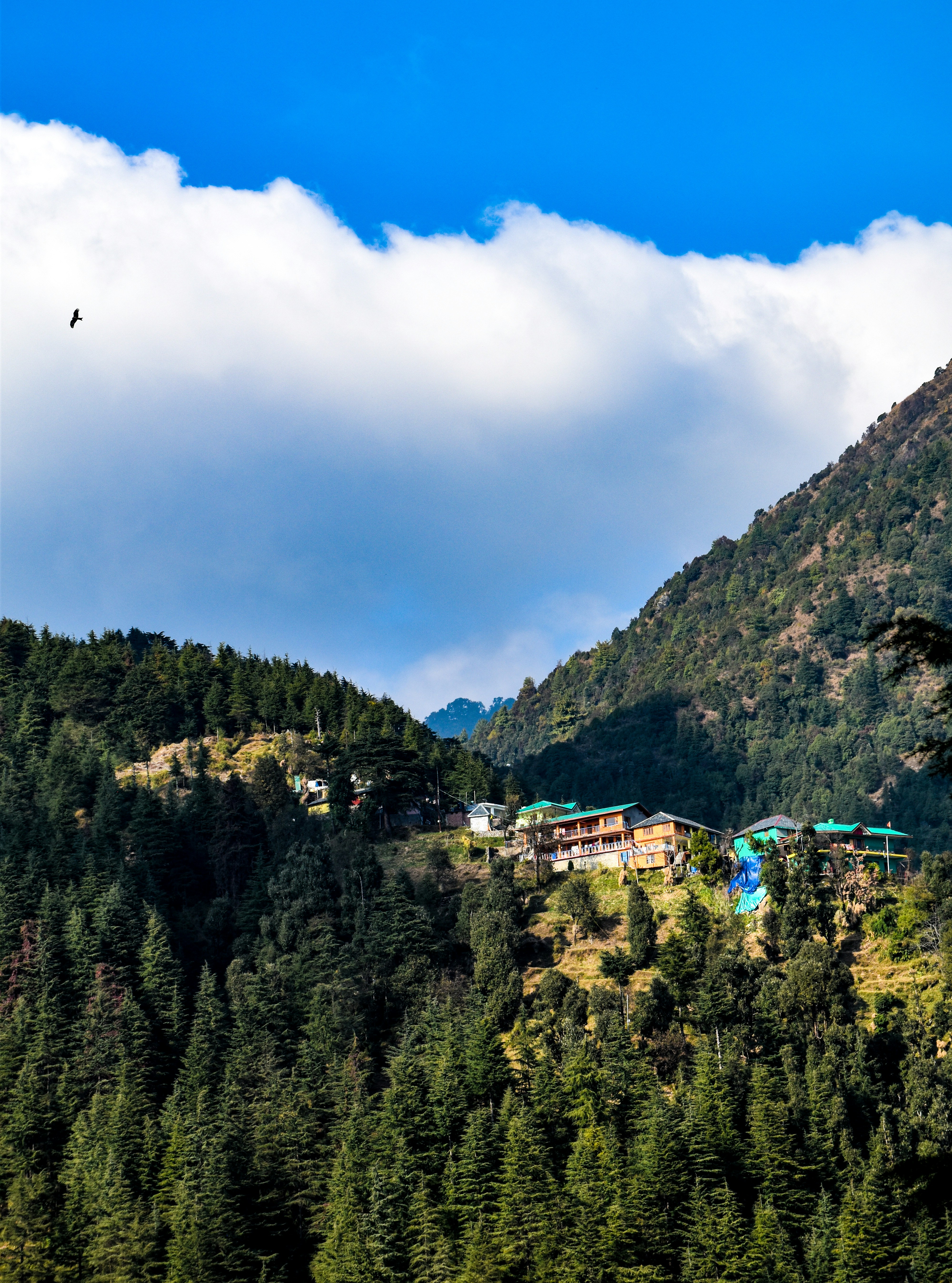 McLeod Ganj