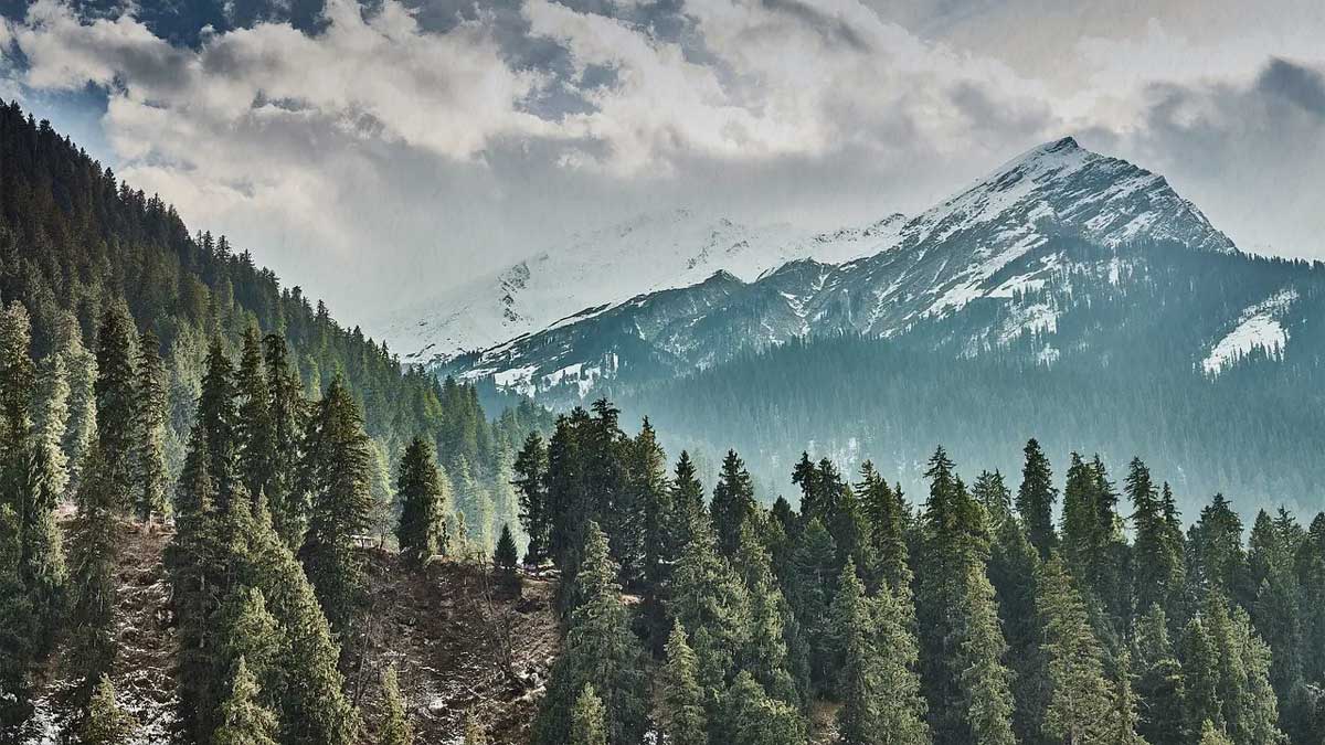 4 Best Hill Stations Near Chandigarh To Visit In Winter For Snowfall and Scenic Views