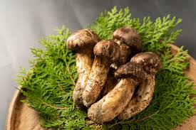 Matsutake Mushrooms
