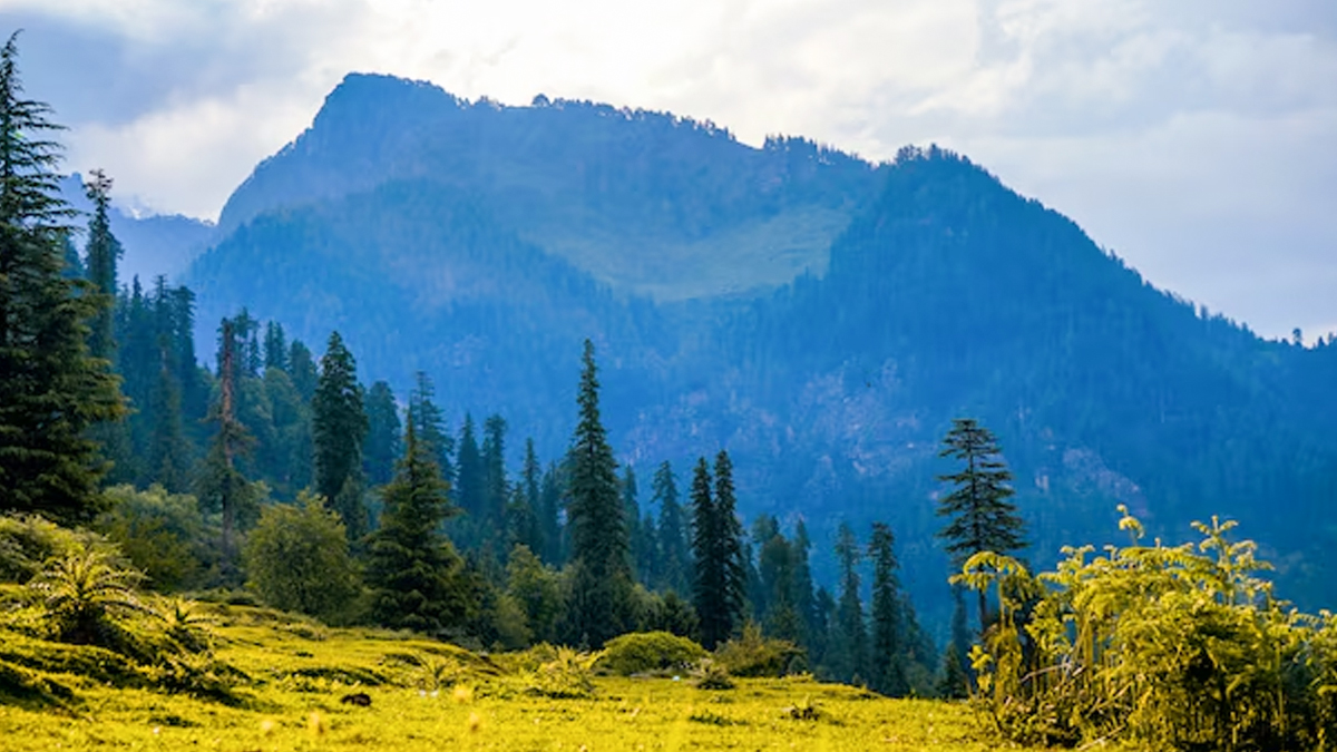 Top 5 Things To Do In Manali In Winter