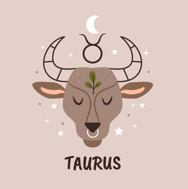 taurus again