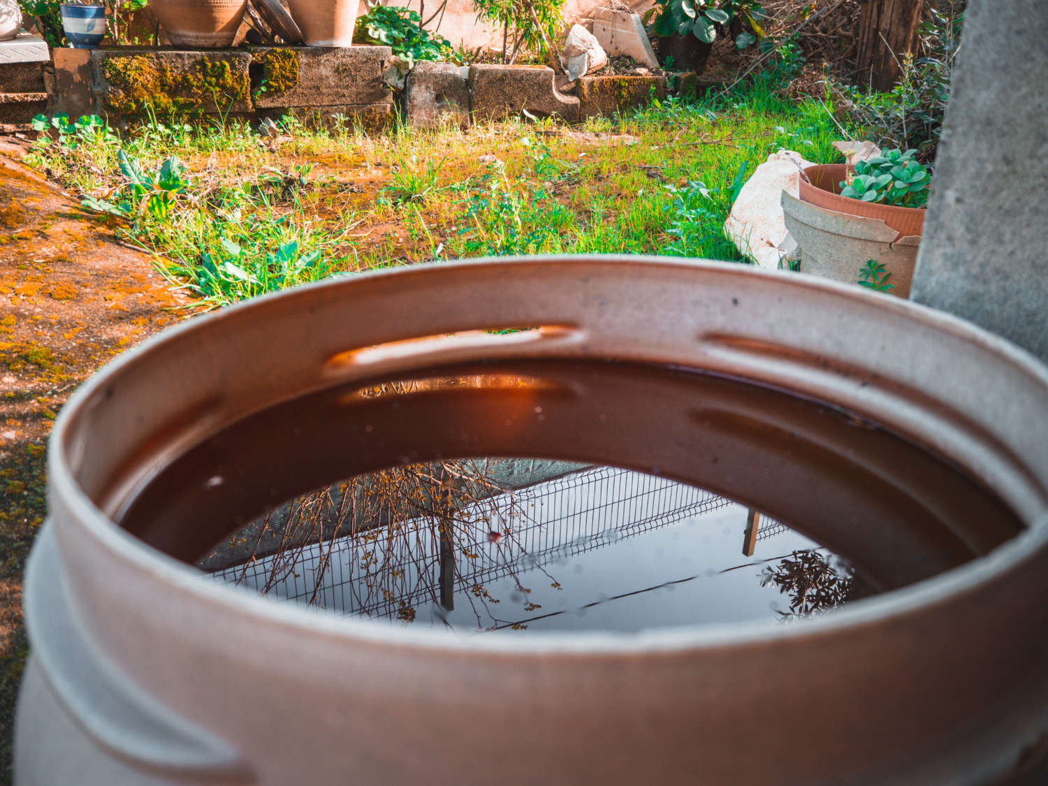 Eliminate Stagnant Water Sources