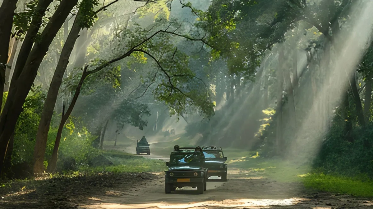 5 Top Adventures in Jim Corbett National Park