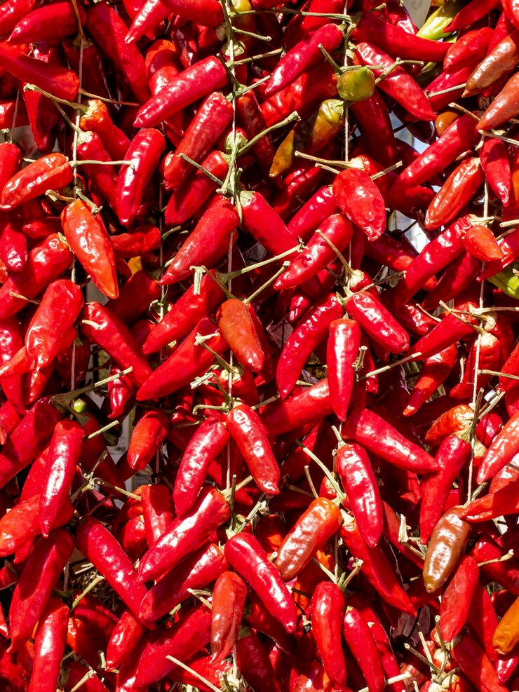 Andhra Pradesh's Guntur Known As The Chilli Capital Of India