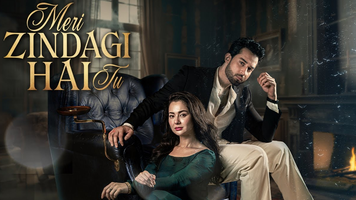 Do Kamyar And Ayra Get Divorced In Meri Zindagi Hai Tu