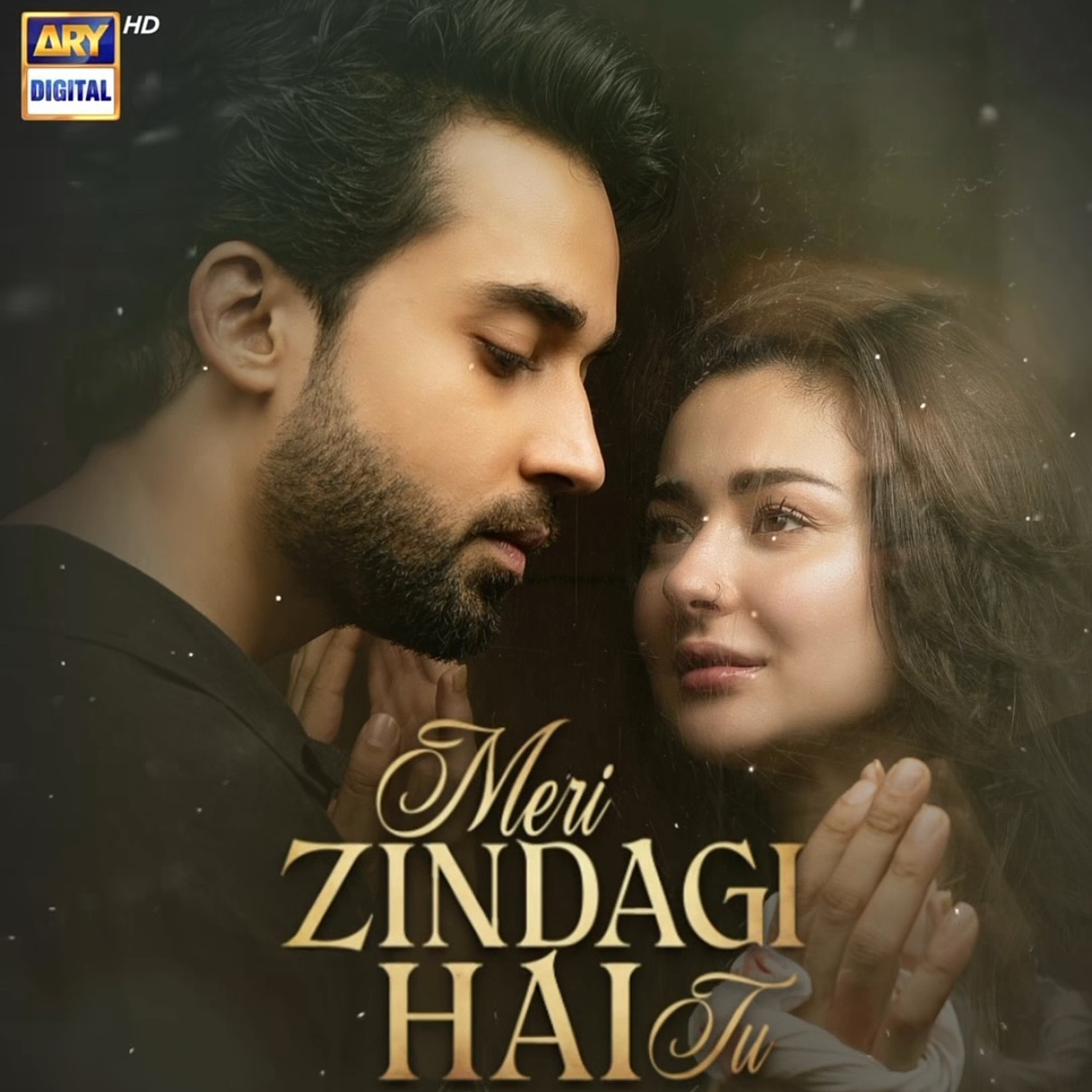 Does Kamyar Boarded The Flight To Stop Ayra