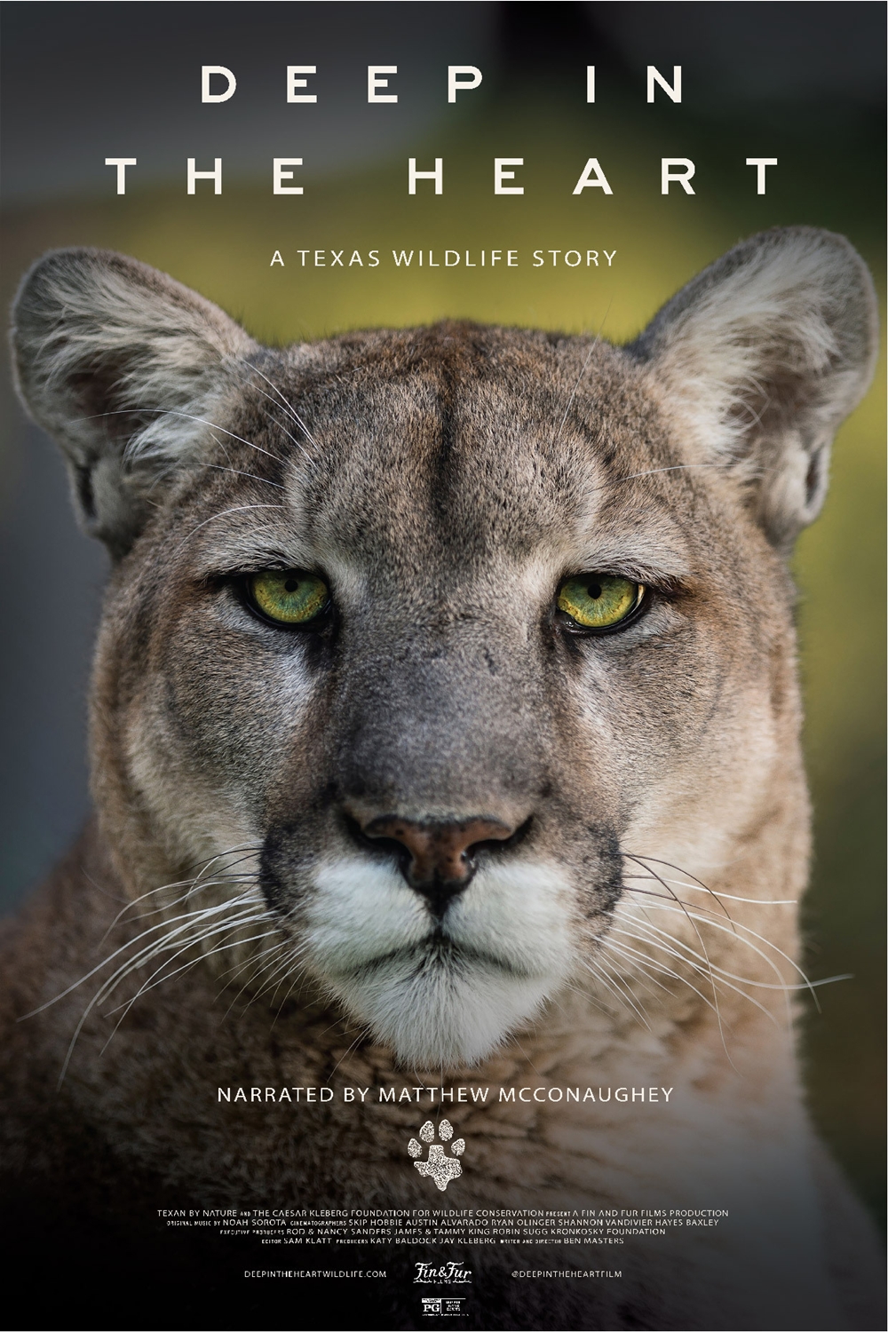 Deep In The Heart A Texas Wildlife Story