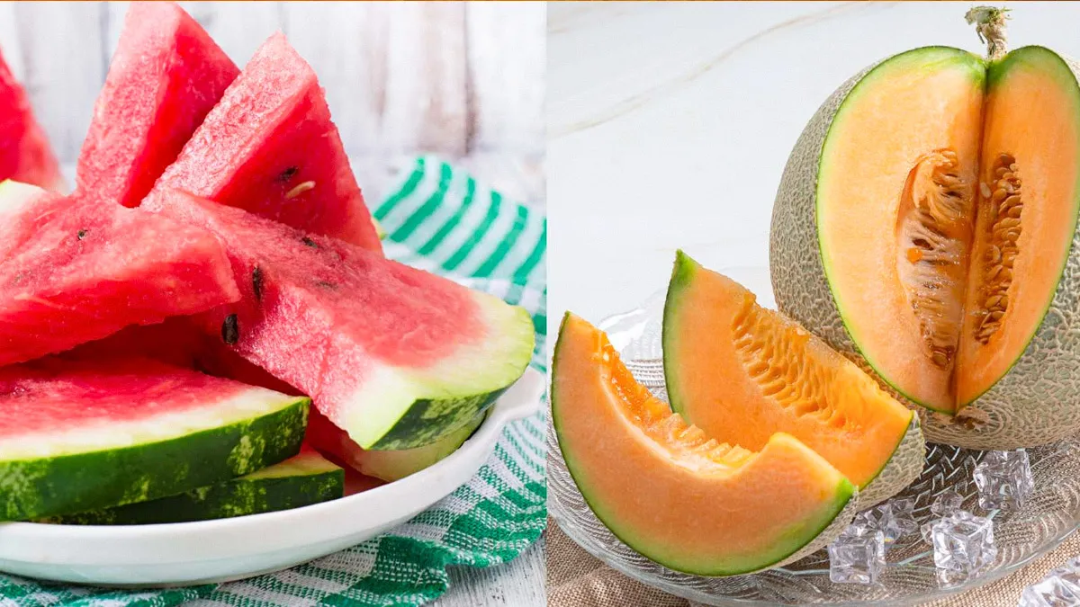Muskmelon vs Watermelon: Which Fruit Keeps You More Hydrated In Summer