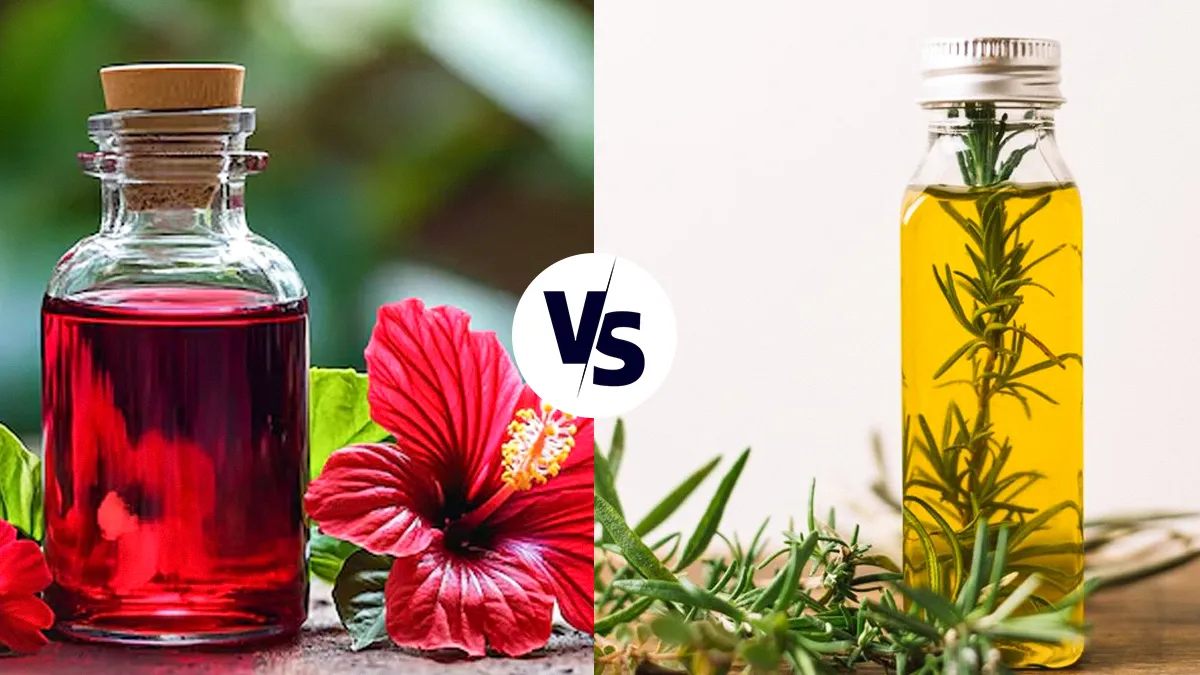 Rosemary vs Hibiscus Oil: Which Is Better For Hair Growth And Thickness?