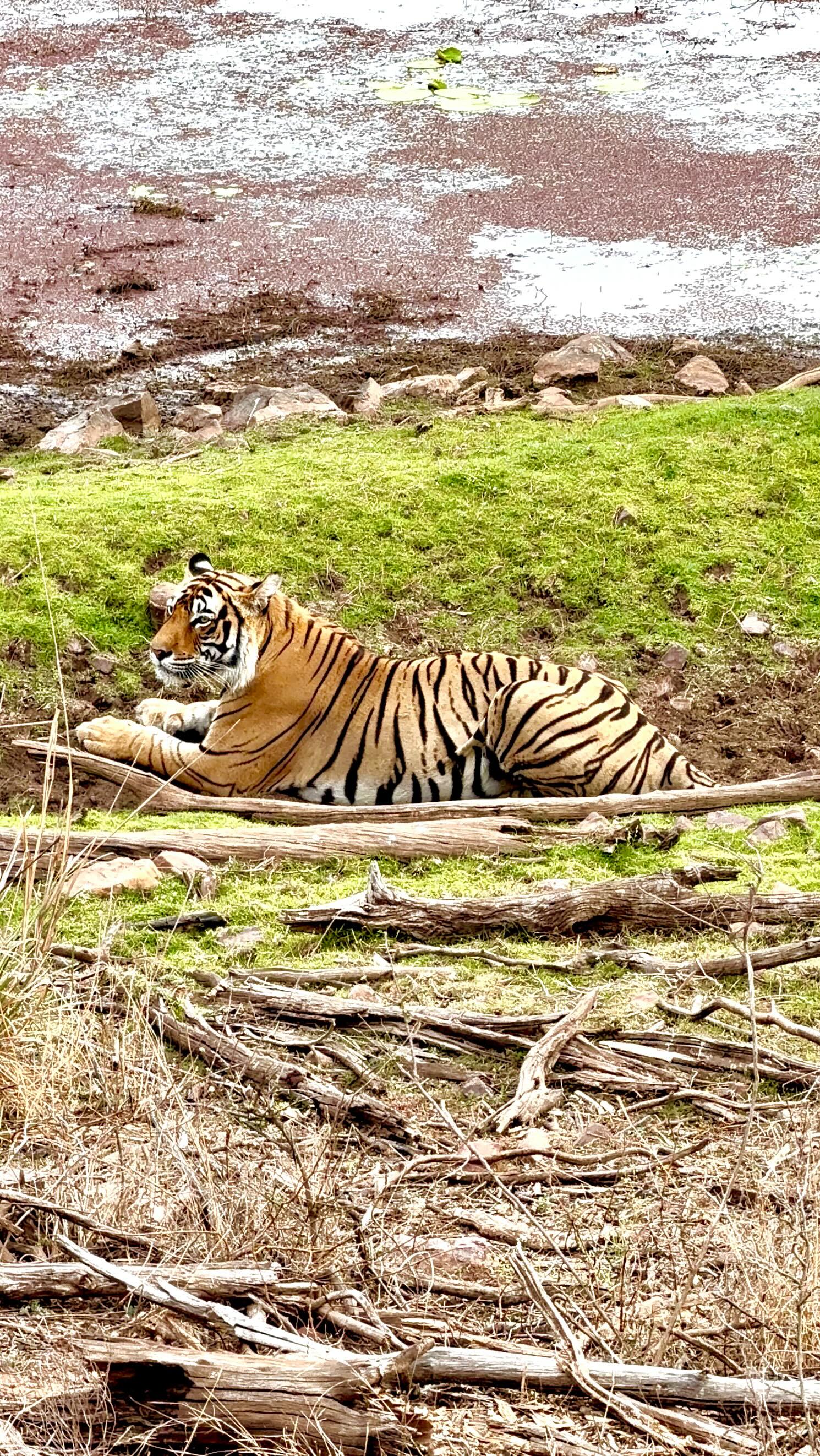 Ranthambore National Park