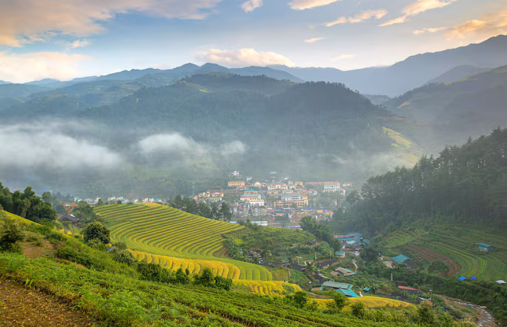 Ooty