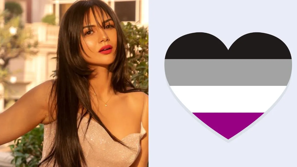 Akanksha Chamola Opens Up About Being 'Asexual' Post-Divorce: Can Emotional Upheaval Affect Sexual Attraction?