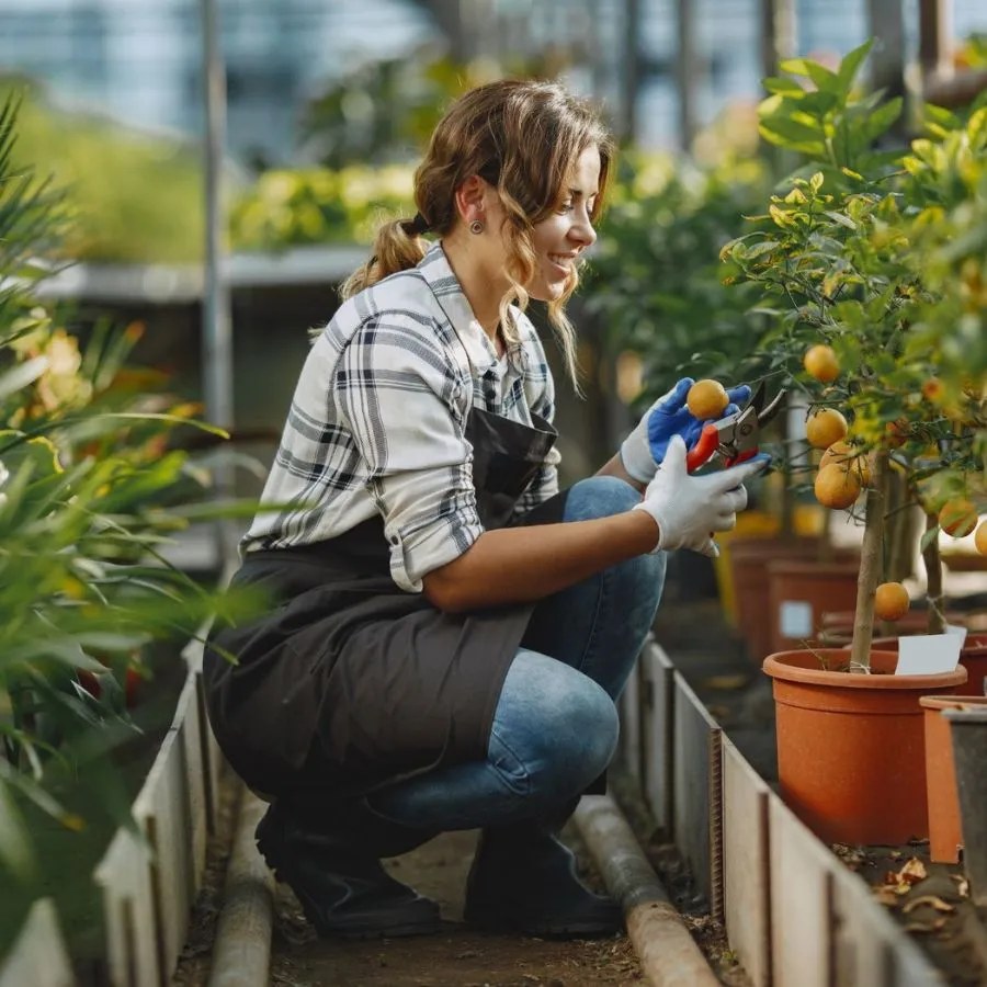 gardening