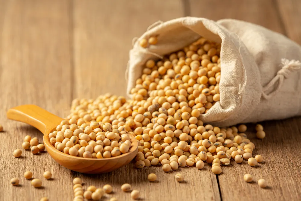 Omega-3 Rich Food Alternatives For Fish