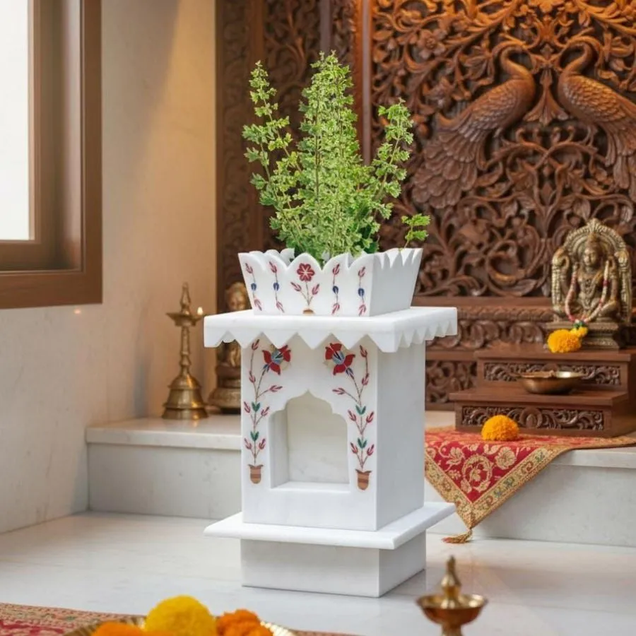 tulsi plant pot