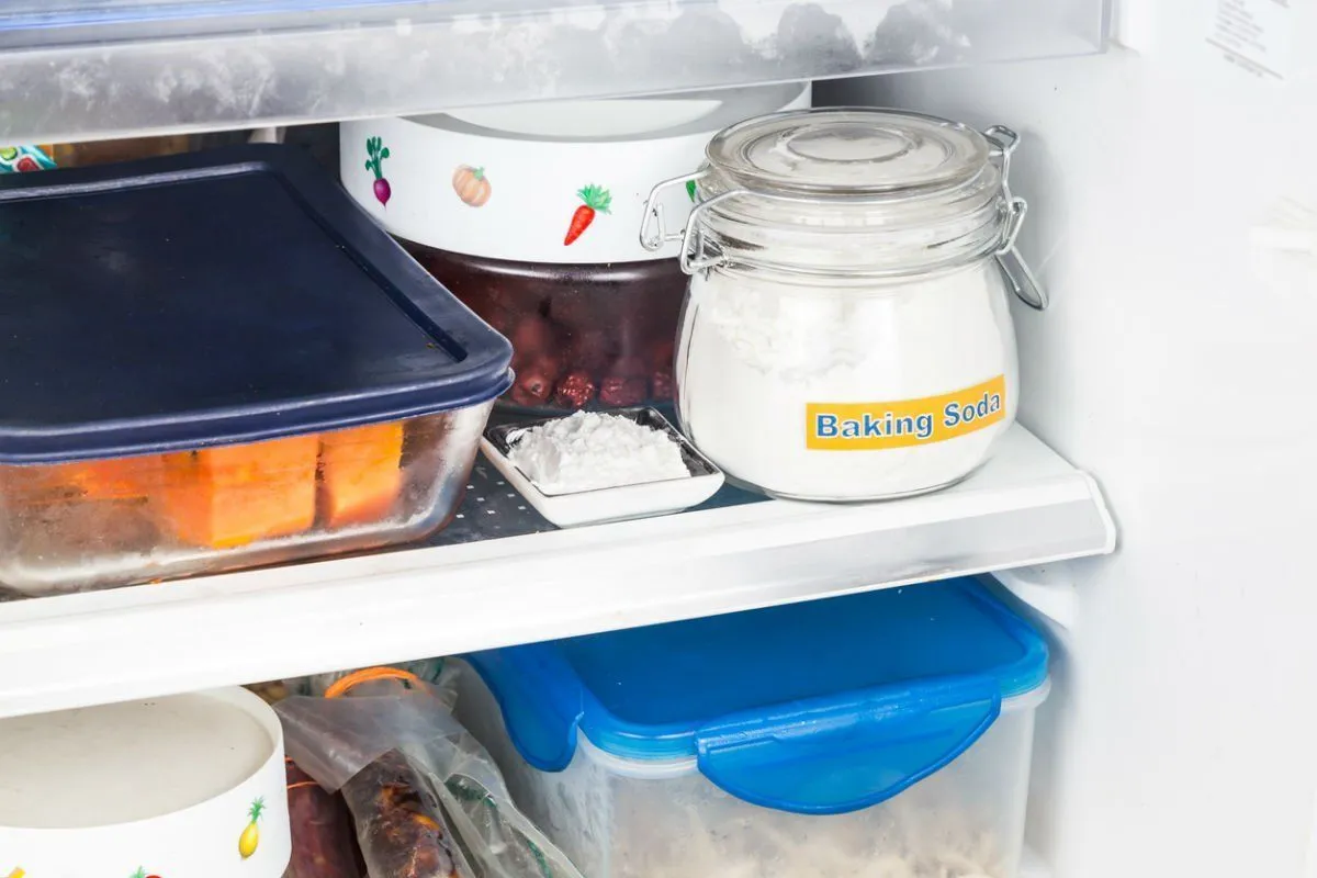 refrigerator cleaning tips