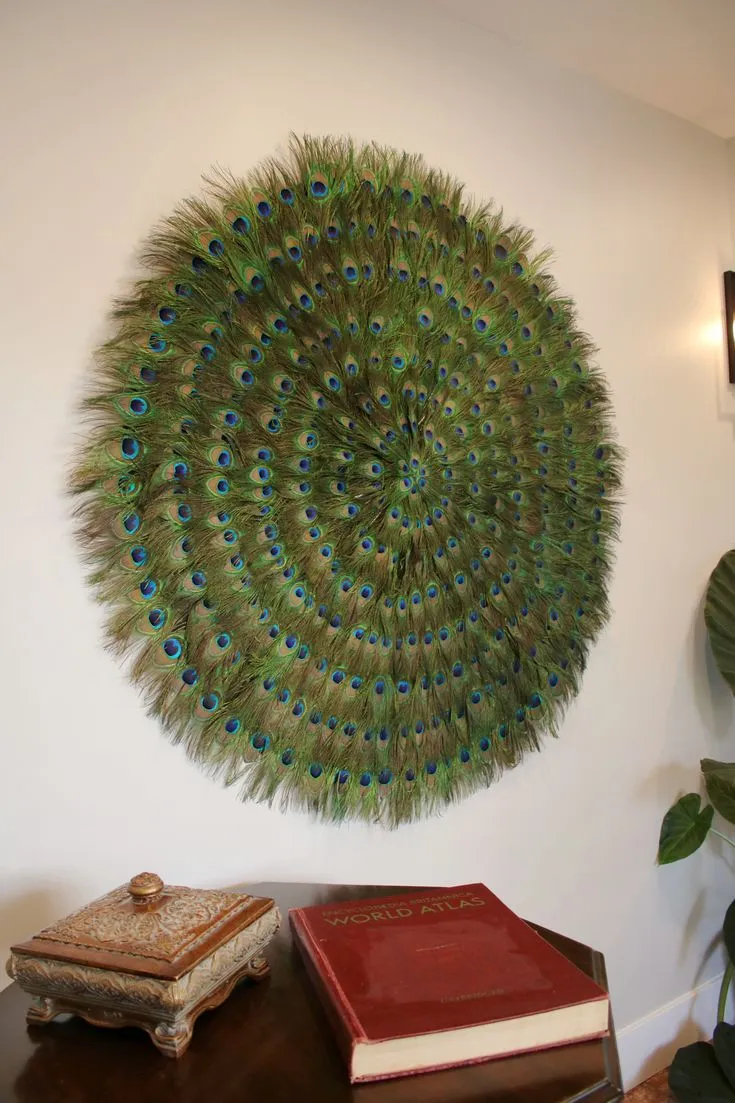 peacock feather