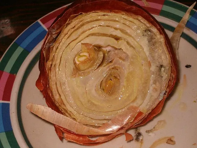 rotten onion 1