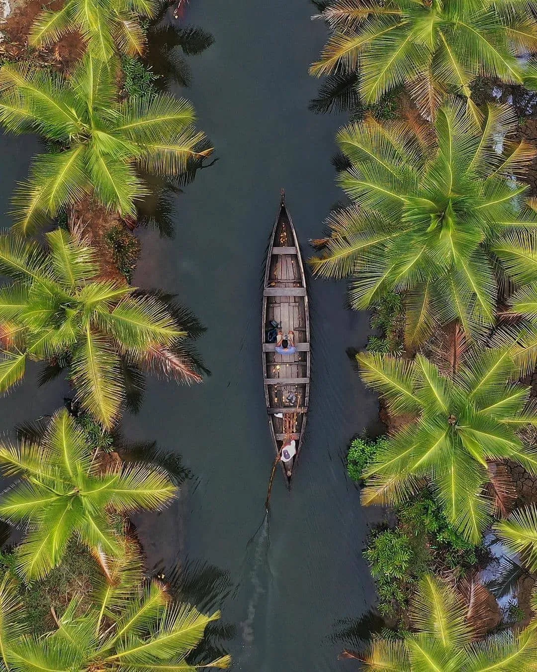 backwaters kerala