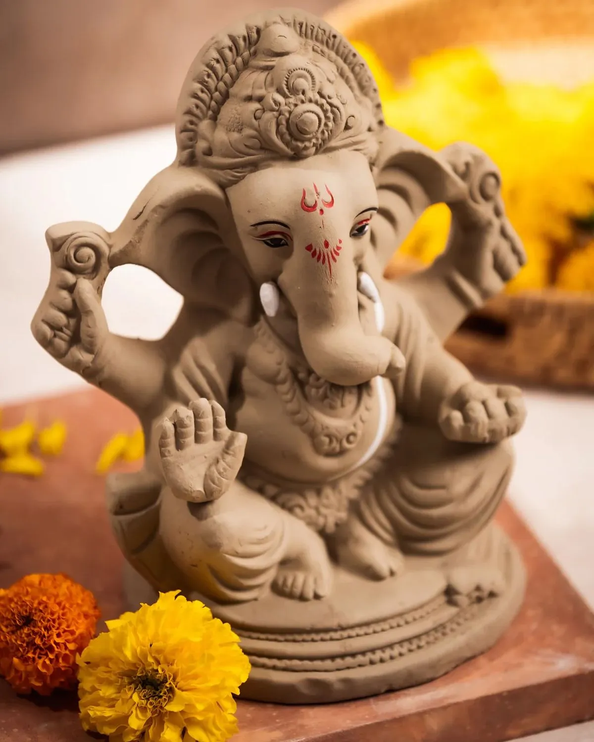 ecofriendly ganpati2